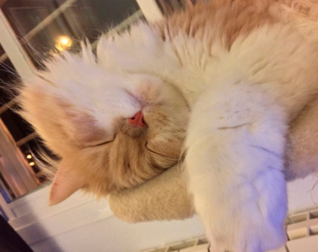 alojamiento dormir casa domicilio