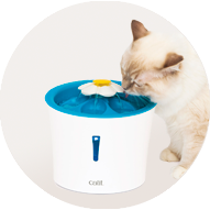 bebedero-fuente-flor