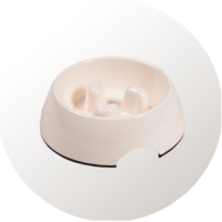 Comederos para gatos antivoracidad