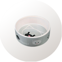 Comedero o bebedero para gatos cuenco