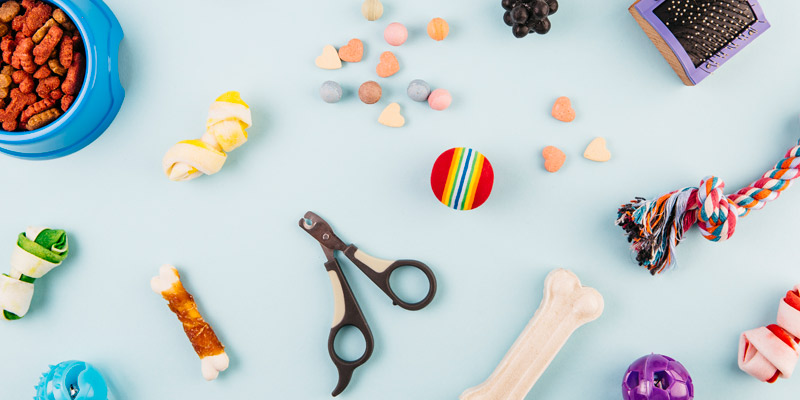 servicios tiendas gatos juguetes