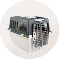 transportin accesorio gato rigido