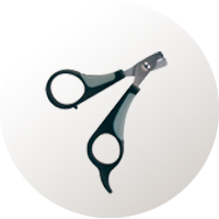 Higiene y cuidados de los gatos: tijeras cortauñas