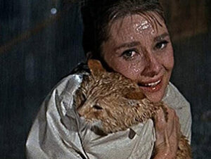 Cat Desayuno con diamantes Filmax Desayuno con diamantes Nombres de gatos