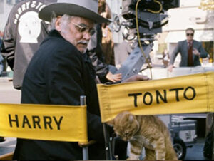Tonto en Harry and Tonto ©Twentieth Century Fox Tonto Harry and Tonto Nombres de gatos del cine