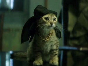 Keanu en Keanu © Warner Bros Keanu en Keanu Nombres de gatos del mundo del cine