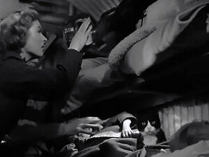 Nombres de gatos del cine Metro Goldwyn Mayer La señora Miniver Nombres de gatos del mundo del cine