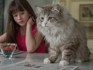 Mr Fuzzypants Sr Pelusín © EuropaCorp Mr Fuzzypants Sr Pelusín Siete vidas este gato es un peligro Nombres de gatos del mundo del cine