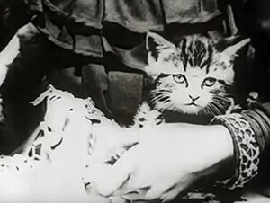 nombres gatos cine British Film Institute The Sick Kitten Nombres de gatos del mundo del cine