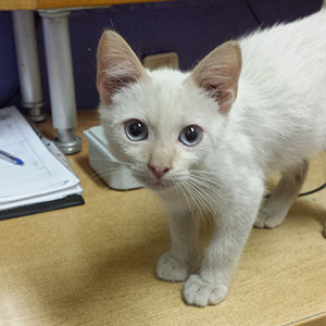 Nuca mirando a cámara