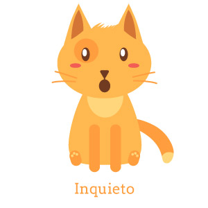 Lenguaje gatos adoptantes inquieto