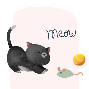 adoptar gatos pequeños 3 a 6 meses salud ilustración cachorro jugando