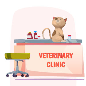 adoptar gatos pequeños cachorros de 3 a 6 meses vacunación