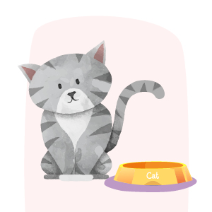 ilustración gato entre 6 y 18 meses