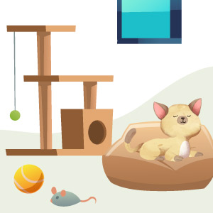 consejos para viajar en coche hogar vacaciones estancia