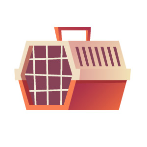 consejos para viajar en coche transportin