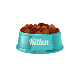 pienso croquetas gatitos pequeños cachorros