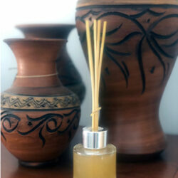 Difusor con repelente de cítricos para gatos