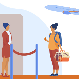 viajar gato avión transportín embarque