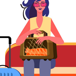 viajar gato avión transportín