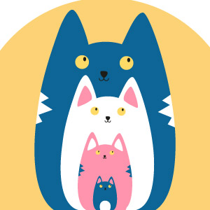 comida gato necesidades energeticas