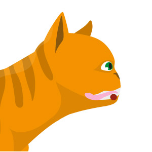 comida y gatos: comportamiento en la alimentación. Prensión lingual inferior