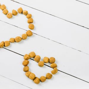 comida para gatos pienso